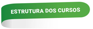 cursos diplomata ideg