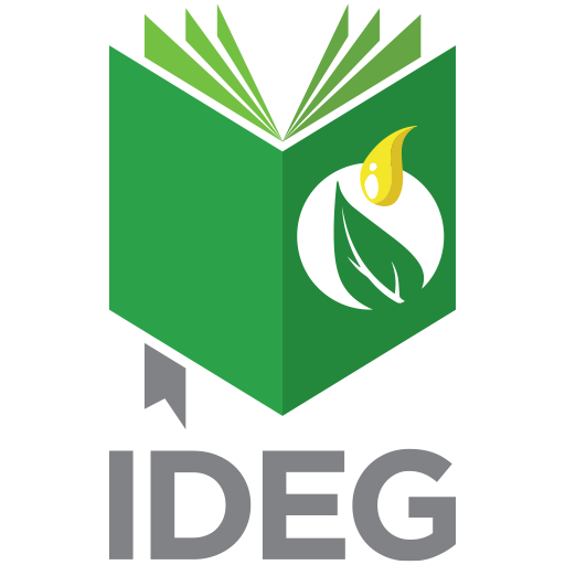 IDEG - Instituto de Desenvolvimento e Estudos de Governo