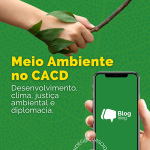 Meio ambiente no CACD: clima, direito e diplomacia em pauta