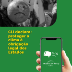 O parecer histórico da CIJ sobre mudanças climáticas: a determinação legal dos Estados de proteger o clima