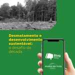 Desmatamento e desenvolvimento sustentável: o desafio da década