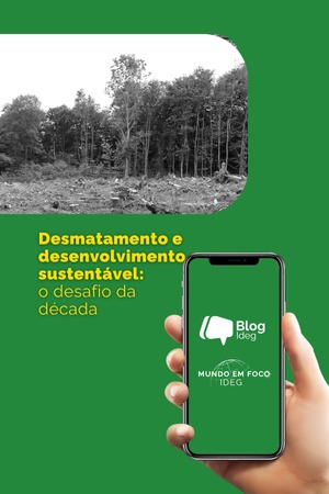 Desmatamento e desenvolvimento sustentável: o desafio da década