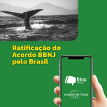 Brasil ratifica o Acordo BBNJ: um marco para a governança global dos oceanos