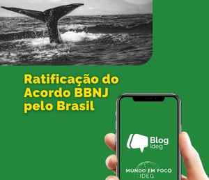 Brasil ratifica o Acordo BBNJ: um marco para a governança global dos oceanos