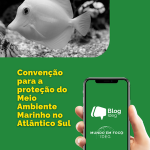 Convenção para a proteção do Meio Ambiente Marinho no Atlântico Sul: geopolítica, segurança e governança ambiental no Sul Global