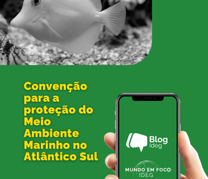 Convenção para a proteção do Meio Ambiente Marinho no Atlântico Sul: geopolítica, segurança e governança ambiental no Sul Global