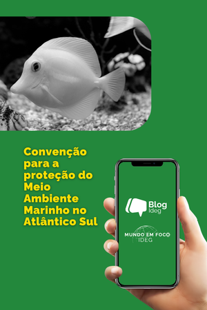 Convenção para a proteção do Meio Ambiente Marinho no Atlântico Sul: geopolítica, segurança e governança ambiental no Sul Global